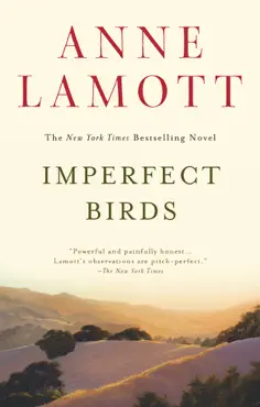 imperfect birds book cover image