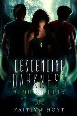 descending darkness imagen de la portada del libro