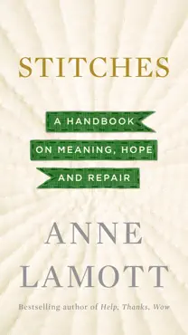stitches book cover image