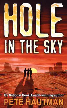 hole in the sky book cover image