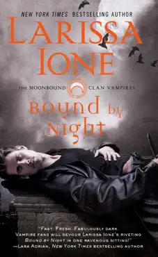 bound by night book cover image