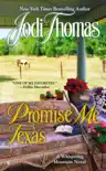 Promise Me Texas synopsis, comments