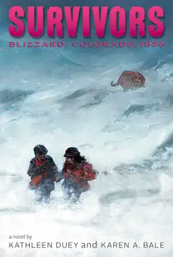 blizzard book cover image