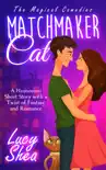 Matchmaker Cat synopsis, comments