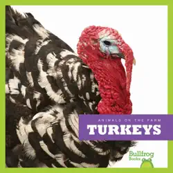 turkeys book cover image