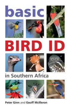 basic bird id in southern africa book cover image