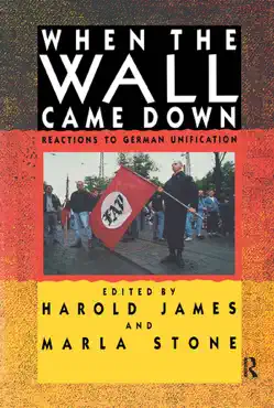 when the wall came down book cover image