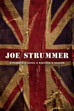 joe strummer book cover image
