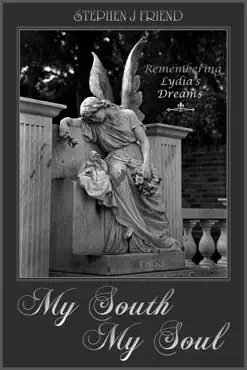 my south my soul volume 1 book cover image