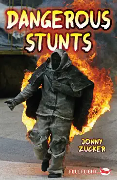 dangerous stunts book cover image