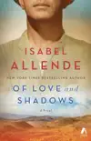 Of Love and Shadows synopsis, comments