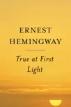 True at First Light synopsis, comments