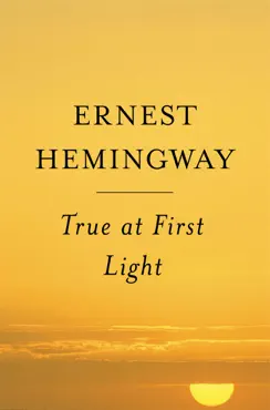 true at first light book cover image