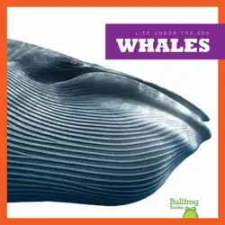 whales book cover image