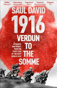 1916: verdun to the somme book cover image