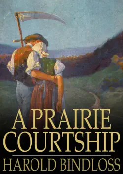 a prairie courtship book cover image