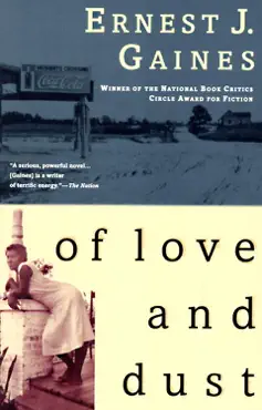 of love and dust book cover image