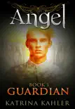 Angel Book 1: Guardian sinopsis y comentarios