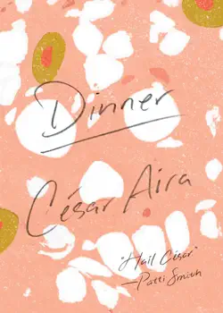 dinner book cover image