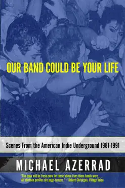our band could be your life book cover image