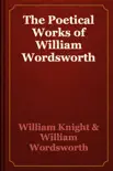 The Poetical Works of William Wordsworth synopsis, comments