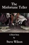 The Misfortune Teller synopsis, comments