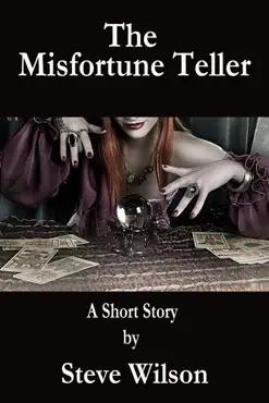 the misfortune teller book cover image