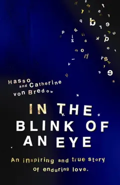 in the blink of an eye book cover image