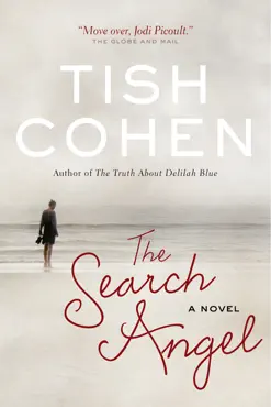 the search angel book cover image