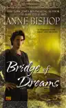 Bridge of Dreams synopsis, comments