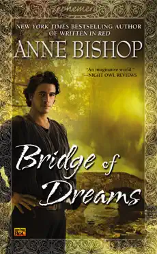 bridge of dreams book cover image