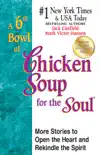 A 6th Bowl of Chicken Soup for the Soul synopsis, comments
