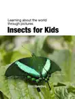 Insects for Kids synopsis, comments