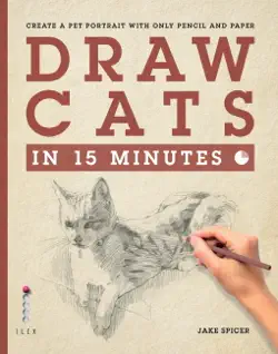 draw cats in 15 minutes book cover image