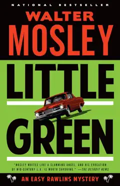 little green book cover image