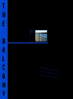 the balcony book cover image