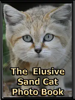 the elusive sand cat book cover image
