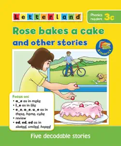 rose bakes a cake and other stories book cover image
