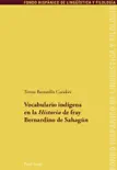 Vocabulario indígena en la Historia de fray Bernardino de Sahagún sinopsis y comentarios
