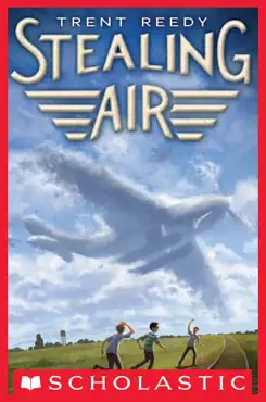 stealing air book cover image