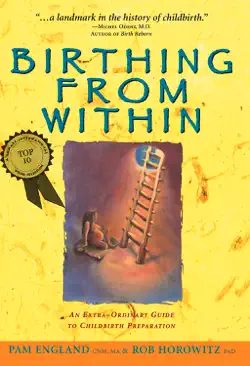 birthing from within book cover image