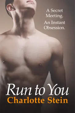 run to you book cover image