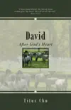 David synopsis, comments