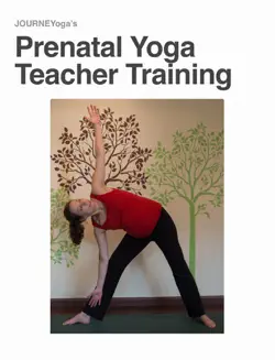 journeyoga prenatal yoga teacher training manual book cover image