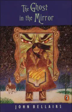 the ghost in the mirror book cover image
