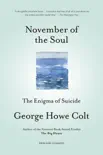November of the Soul synopsis, comments