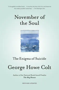 november of the soul book cover image