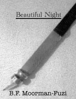 beautiful night book cover image
