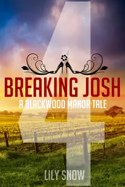 breaking josh 4 book cover image