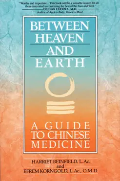 between heaven and earth book cover image